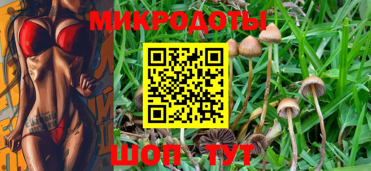 Купить наркотик  ГАШ  Гудермес  Вход с VPN  Меф МЯУ МЯУ кристаллы  МЕФ  Cocaine 