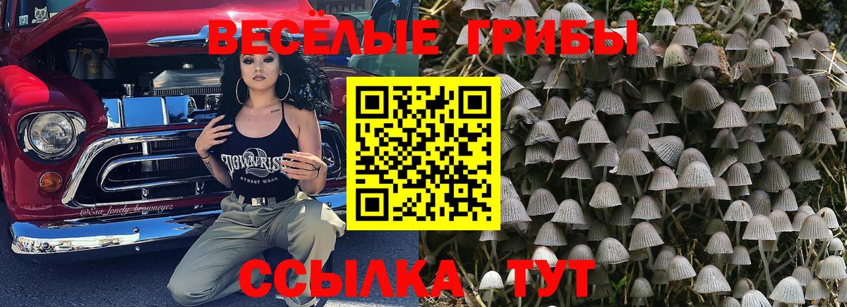 Галлюциногенные грибы мухоморы Гудермес