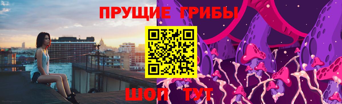Псилоцибиновые грибы MAGIC MUSHROOMS  Вход с VPN  Гудермес 