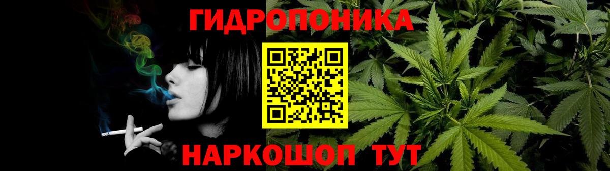 Бошки марихуана индика  Каннабис тримм  Шишки марихуана MAZAR  Вход с VPN  Гудермес 